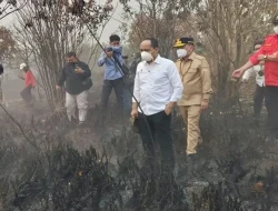 Menteri Juli Pantau Karhutla Kalsel, Api Padam Tapi Asap Gambut Masih Ada