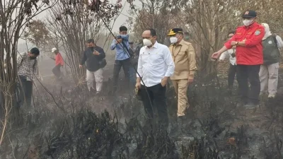 Menteri Juli Pantau Karhutla Kalsel, Api Padam Tapi Asap Gambut Masih Ada