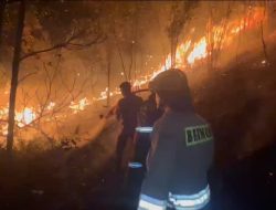 Nekat Bakar Lahan di Kepri Bakal di Bui 10 Tahun Plus Denda Rp 10 M