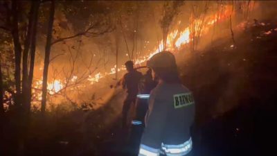 Nekat Bakar Lahan di Kepri Bakal di Bui 10 Tahun Plus Denda Rp 10 M