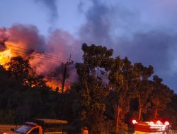 Lahan 35 Hektare di Jalan Trans Barelang Batam Terbakar, Petugas Tembus Bukit Padamkan Ap