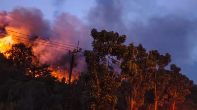 Lahan 35 Hektare di Jalan Trans Barelang Batam Terbakar, Petugas Tembus Bukit Padamkan Ap