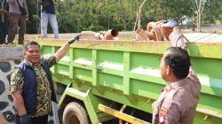 Tambang Pasir Ilegal Nongsa