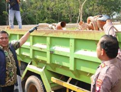 Aktivitas Tambang Pasir Ilegal di Nongsa Batam Kena Gerebek, 3 Orang Ditangkap