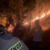 Polsek Sekupang Imbau Warga Tak Bakar Hutan di Tengah Cuaca Ekstrem, Bisa Dipidana