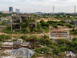 BP Batam Minta Pemilik Lahan Mangkrak Segera Lapor, Paling Lambat 31 Agustus
