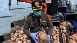 Kelapa Natuna