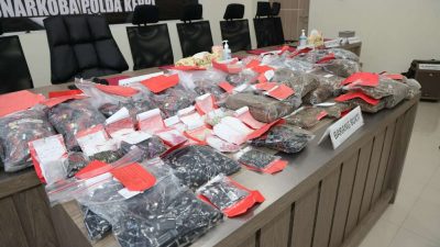 Sabu 4,91 kg Hingga Ganja 5,64 kg Tangkapan Polda Kepri Dimusnahkan Pakai Incinerator