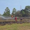 Ilalang Terbakar di Lahan Kosong Batam Kota, Api Padam dalam 45 Menit