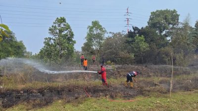 Ilalang Terbakar di Lahan Kosong Batam Kota, Api Padam dalam 45 Menit