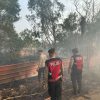 Lahan di Rempang dan Nongsa Terbakar, Brimob Polda Kepri Turun Tangan