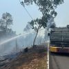 Puluhan Hektare Lahan di Lingga Terbakar di 4 Desa