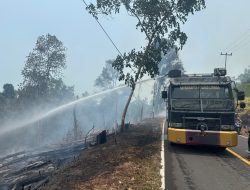Puluhan Hektare Lahan di Lingga Terbakar di 4 Desa
