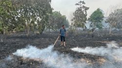 Lahan terbakar lagi di Lingga