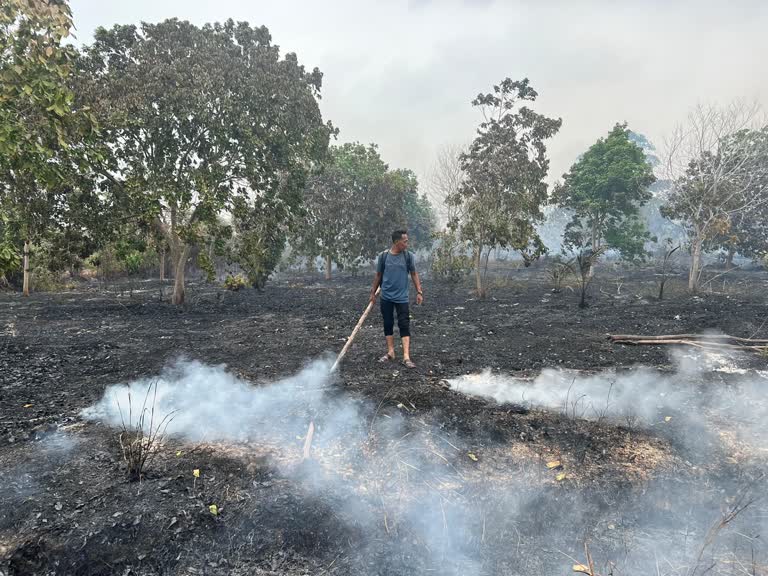 Kebakaran Lahan di Lingga