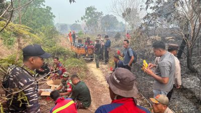 Kebakaran Lahan di Lingga
