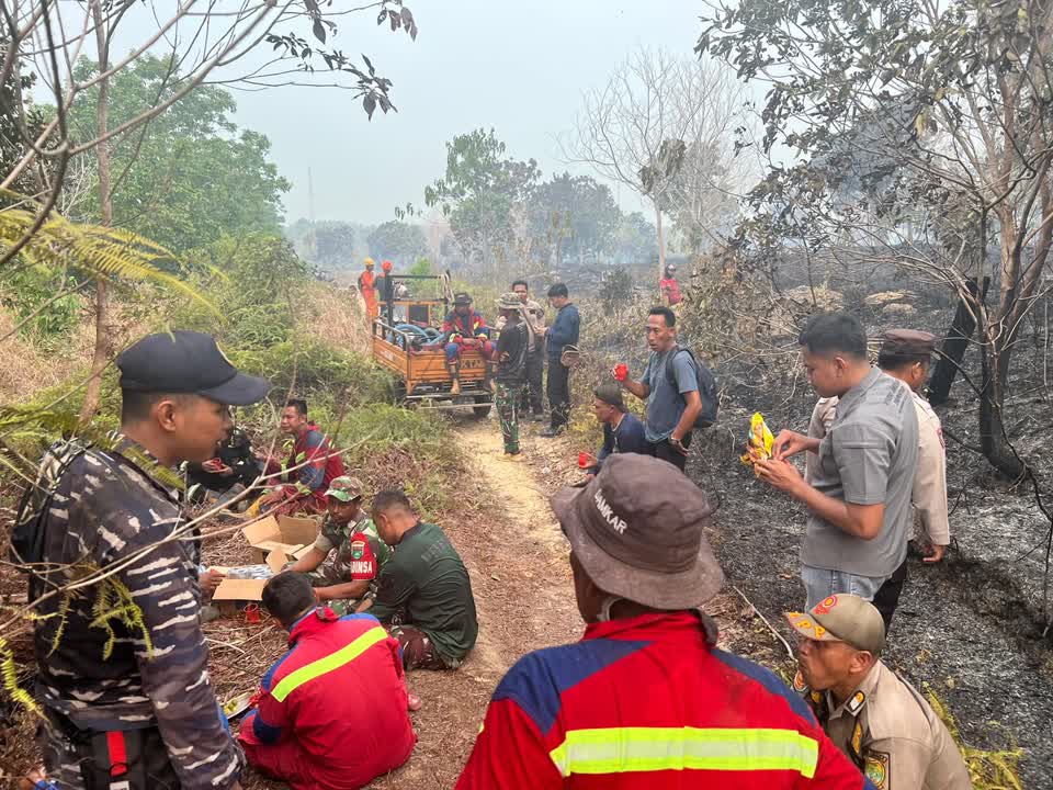 Kebakaran Lahan di Lingga