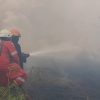 Semak Belukar di Sambau Batam Terbakar, Polisi-Damkar Berupaya Jinakkan Api