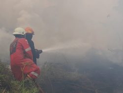 Semak Belukar di Sambau Batam Terbakar, Polisi-Damkar Berupaya Jinakkan Api