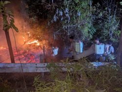 Karhutla di Sembulang dan Tembesi Batam Berhasil Dipadamkan Tim Gabungan