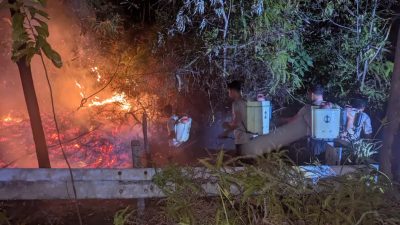 Karhutla di Sembulang dan Tembesi Batam Berhasil Dipadamkan Tim Gabungan