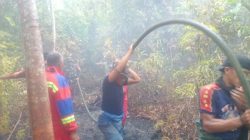 Kebakaran di Lingga