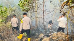 Bintan Terbakar