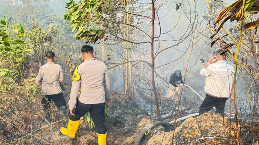 Bintan Terbakar