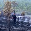 Brimob Polda Kepri Padamkan Kebakaran Lahan di Kampung Tua Tiwangkang Batam