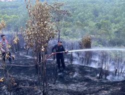 Brimob Polda Kepri Padamkan Kebakaran Lahan di Kampung Tua Tiwangkang Batam