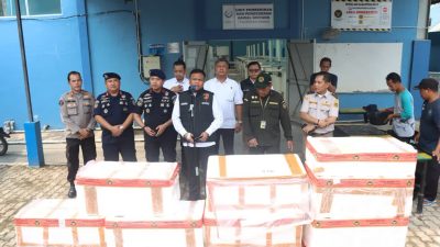 73 Ribu Benih Lobster Ilegal Gagal Diselundupkan ke Vietnam, 2 Orang Ditangkap