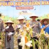 Polda Kepri Panen 7 Hektare Jagung di Galang