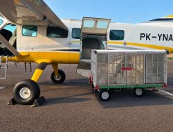 Waduk Makin Kering, BP Batam Gelar Modifikasi Cuaca Jaga Stok Air