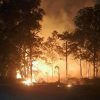 Lahan di Depan Hotel Holiday Inn Batam Terbakar, Diduga Gegara Bakar Sampah