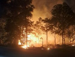 Lahan di Depan Hotel Holiday Inn Batam Terbakar, Diduga Gegara Bakar Sampah