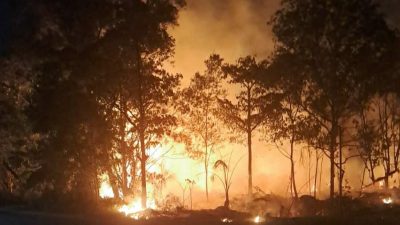 Lahan di Depan Hotel Holiday Inn Batam Terbakar, Diduga Gegara Bakar Sampah