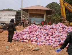 Mesin Pendingin Rusak, ​29 Ton Bawang Putih Cina Dimusnahkan Karantina Kepri di Batam